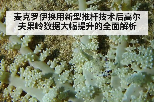 麦克罗伊换用新型推杆技术后高尔夫果岭数据大幅提升的全面解析